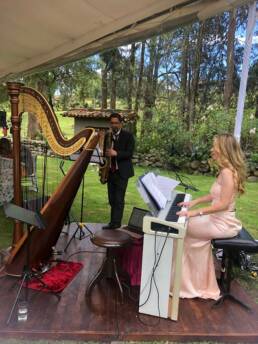 tiina soe interprete